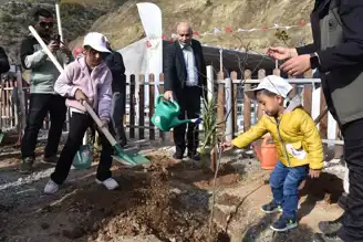 11 Kasım'da Doğu Karadeniz'de Binlerce Fidan Dikildi