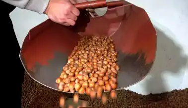 Fındık Fiyatlarında Durgunluk Bekleniyor