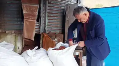 Fındık ve Kabuğu Fiyatlarında Düşüş
