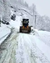 Giresun'da 432 Köy Yolu Kar Yağışıyla Kapandı