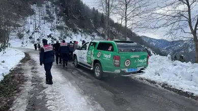 Doğu Karadeniz'de Yaban Hayvanları Kışa Hazırlanıyor