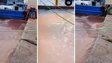 Görele'de Çevre Felaketi: Tanker Atıklarını Denize Boşalttı!