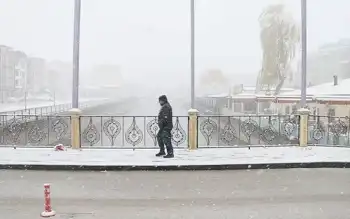 Doğu Karadeniz'de Yoğun Kar Yağışı Ulaşımı Felç Etti
