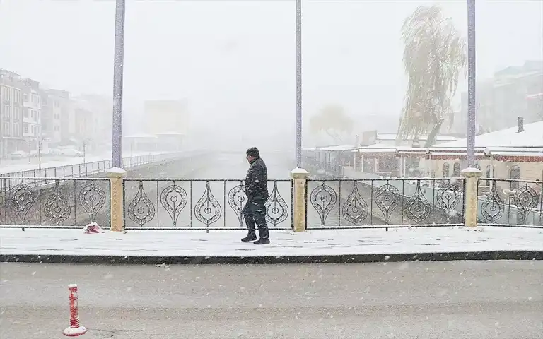Doğu Karadeniz'de Yoğun Kar Yağışı Ulaşımı Felç Etti